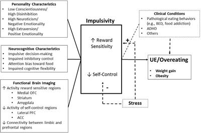 Overlapping Neural Endophenotypes in Addiction and Obesity